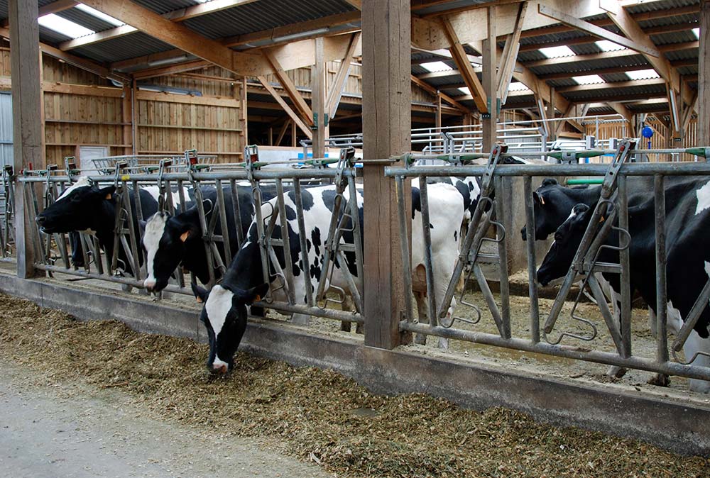 12626.hr - Illustration Malgré la hausse des charges, le maillon production résiste en Bretagne