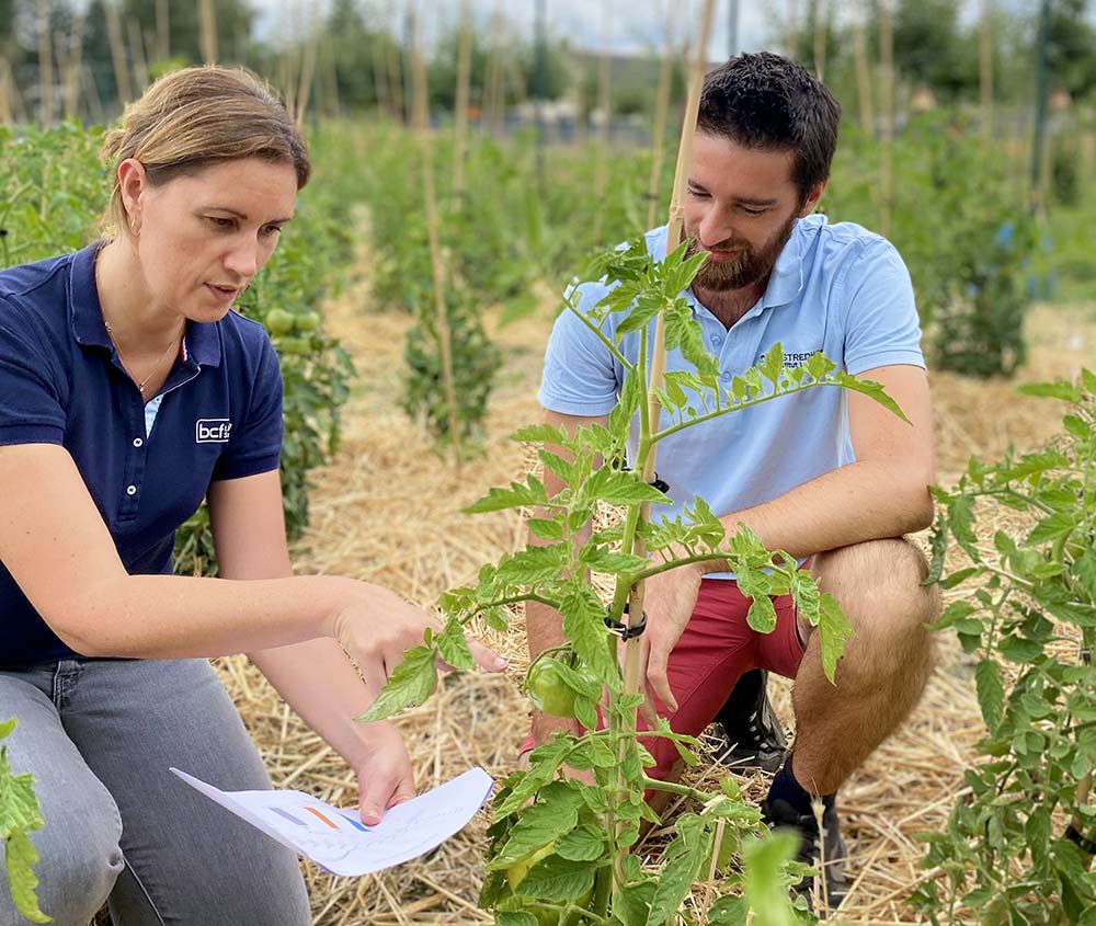 12616.hr - Illustration Les plumes volent au secours des plantes