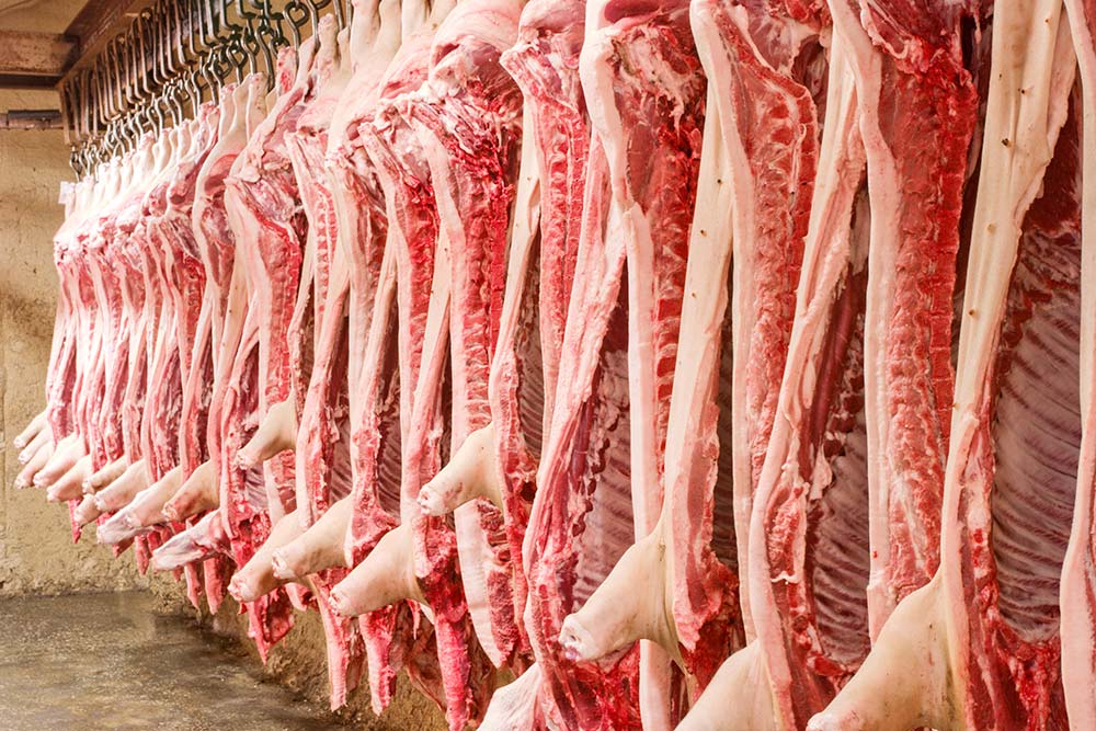  - Illustration Le porc profite d’une faible offre