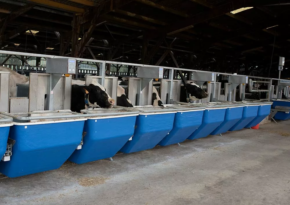  - Illustration Vers une complémentation adaptée à chaque vache ?