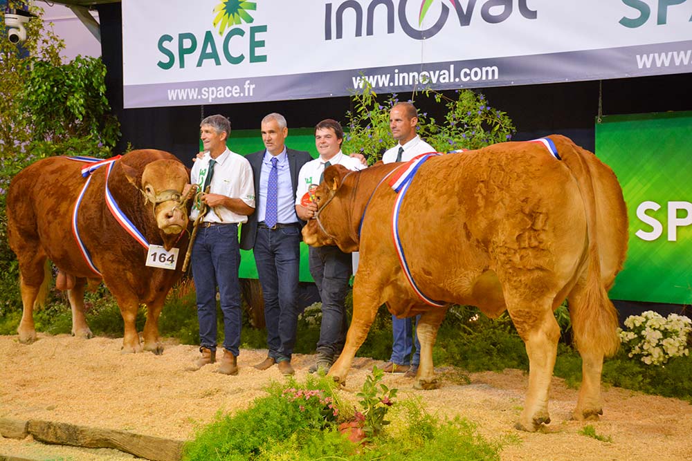  - Illustration SPACE 2022 / Limousine : Little a tout d’une grande
