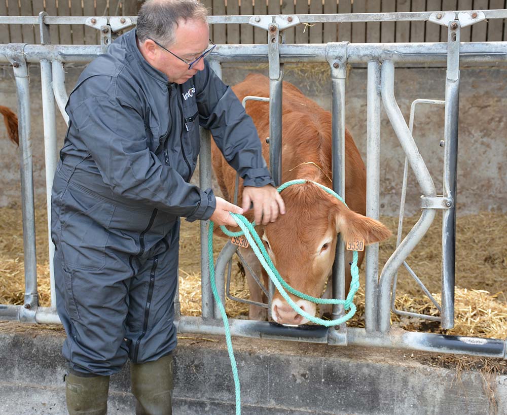  - Illustration Les bovins ne « fonctionnent » pas comme nous