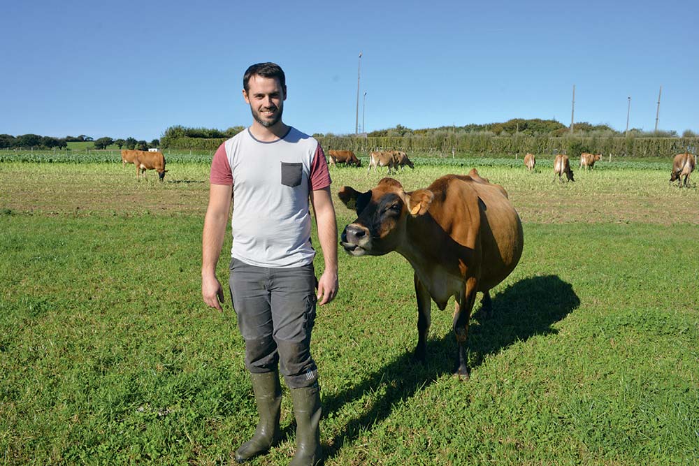  - Illustration Gagner sa vie en lait sans être débordé