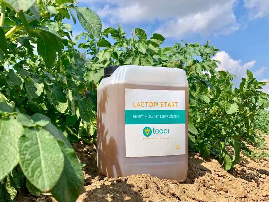 biostimulant urine toopi lactopi start - Illustration Un biostimulant à base d&rsquo;urine humaine