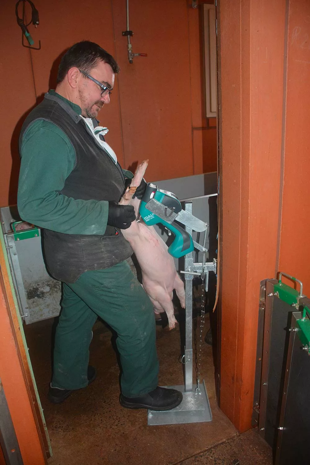  - Illustration Vaccination intra-dermique lors du post-sevrage