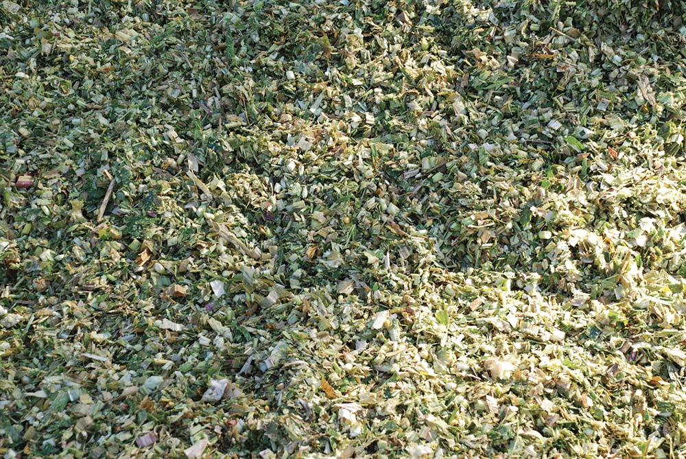  - Illustration Des grains éclatés en 8