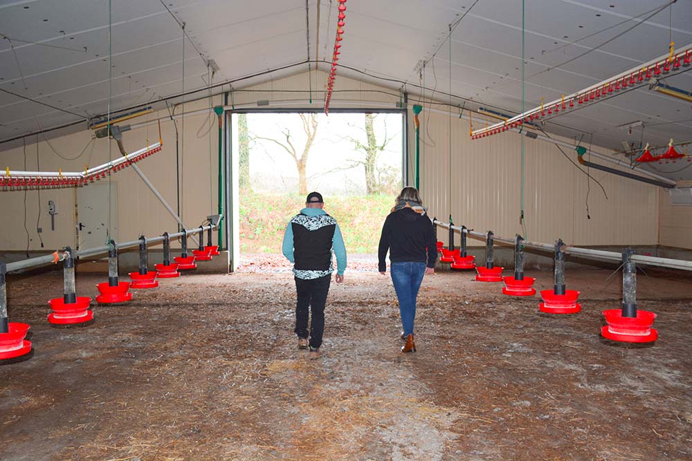  - Illustration Aviculture : L’arrêt comme ultime solution