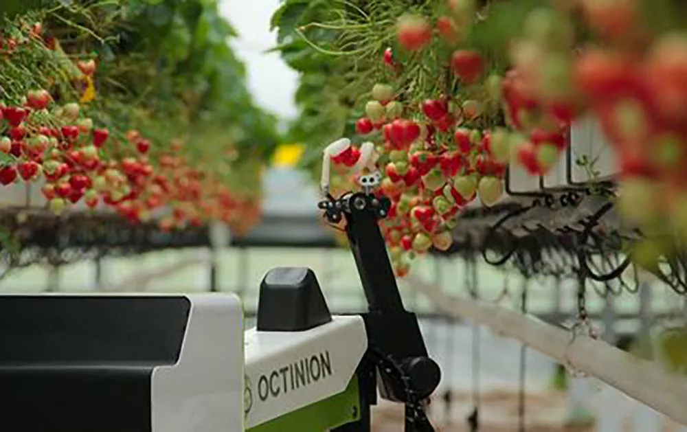  - Illustration Maraîchage et arboriculture : Le Sival sous le signe de la robotique