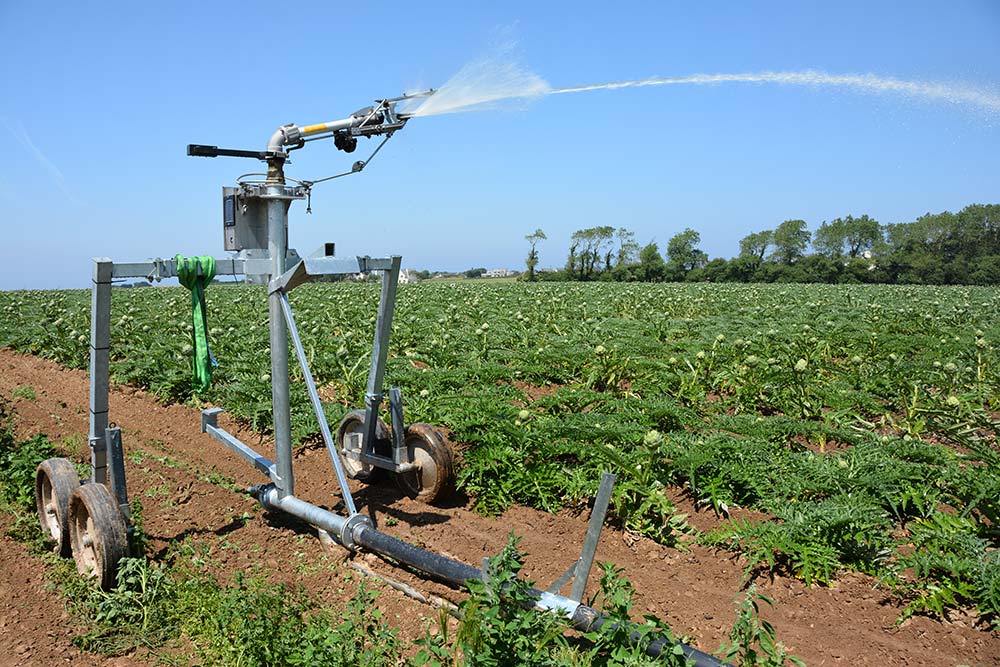 14738.hr - Illustration Climat : Se projeter sur l’avenir