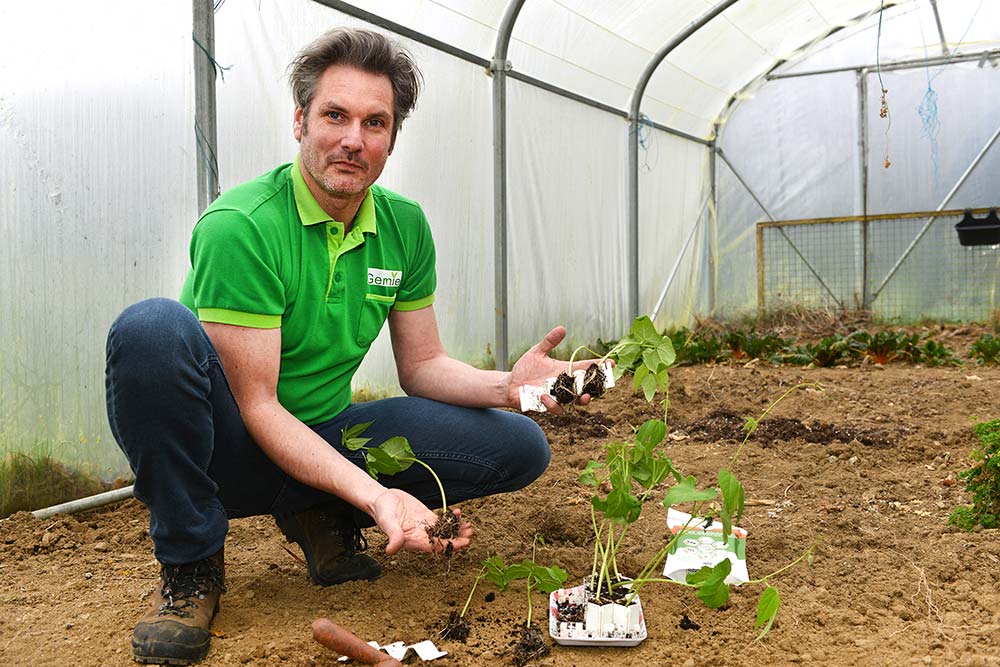 15168.hr - Illustration Maraîchage : Des Kits pour semis innovants, durables et 100 % made in breizh 