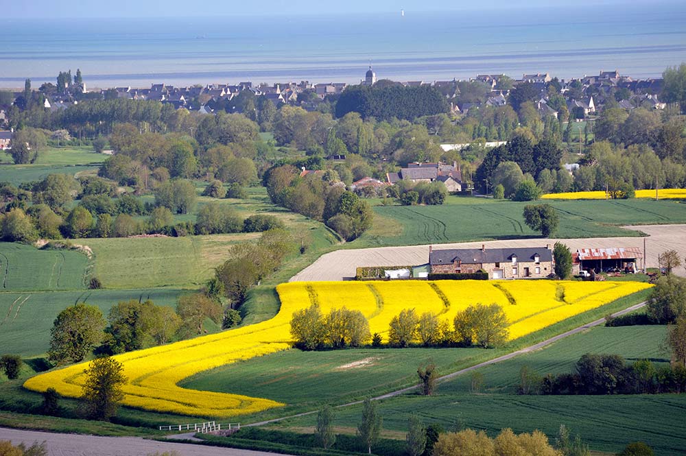 15266.hr - Illustration Revisiter la protection des cultures à l’échelle du système