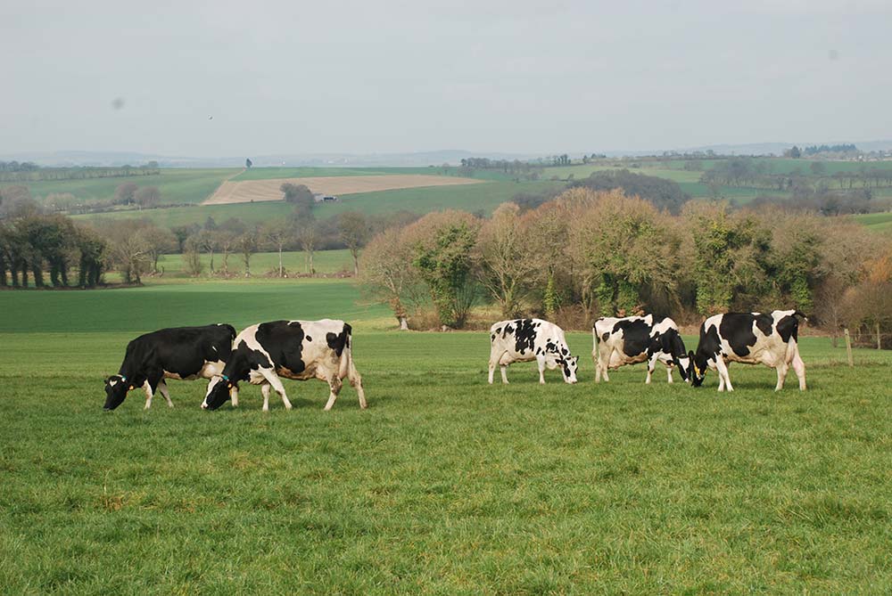 15413.hr - Illustration Congrès de la FNPL : « Une Pac de production » pour 2027