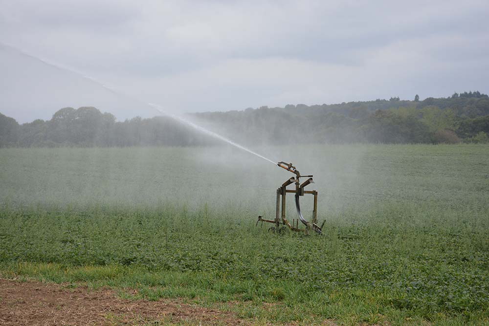 15541.hr - Illustration Un plan de sobriété pour la gestion de l&rsquo;eau