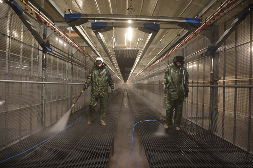 15799.hr - Illustration Influenza aviaire : Maintenir le niveau d’indemnisation