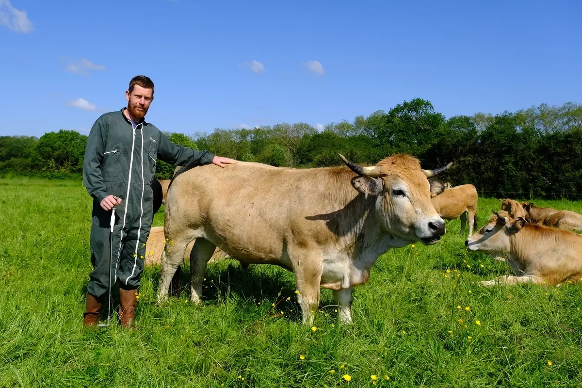16518.hr - Illustration À la Ferme de la Comète : la prairie pousse sous les épis