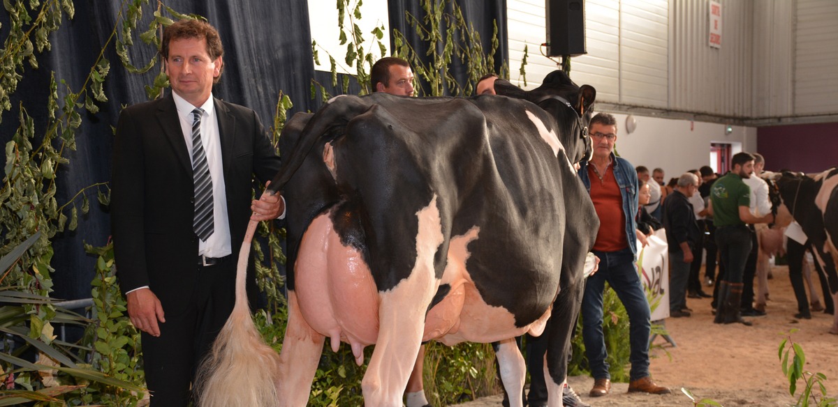 17781 hr - Illustration Ocarine des Fleurs rayonne à Ohhh la vache
