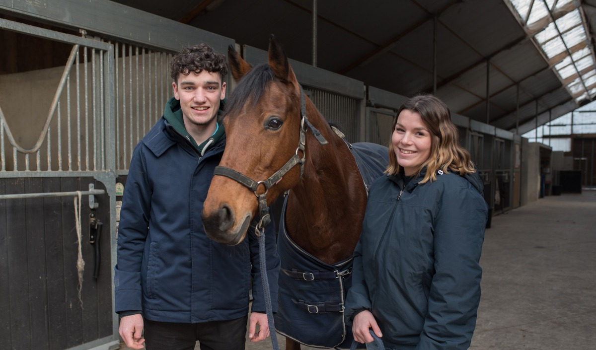 18571 hr - Illustration Des formations dédiées au cheval