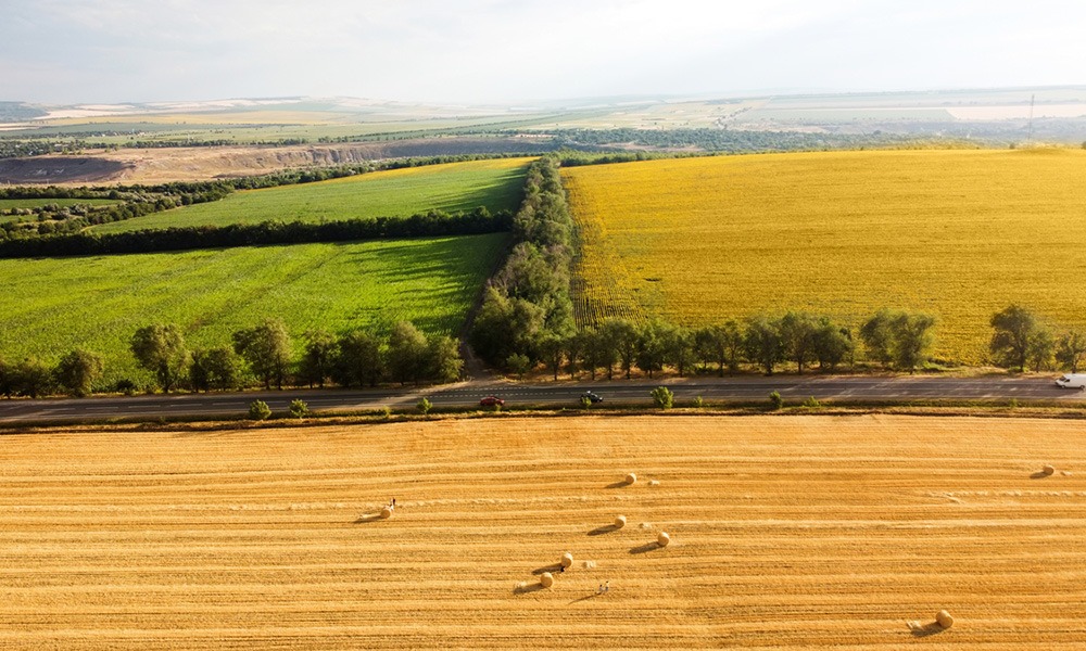 19905.hr light - Illustration Crédits d&rsquo;impôt pour l&rsquo;agriculture durable : vérités et mythes