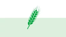logo bulletin du vegetal Paysan Breton
