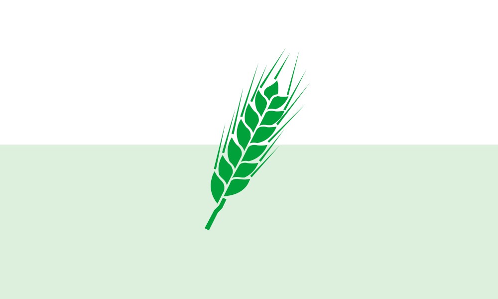 logo bulletin du vegetal Paysan Breton - Illustration Bulletin du végétal