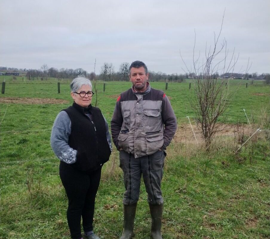 20179.hr - Illustration L’agroforesterie pour mieux passer l’été
