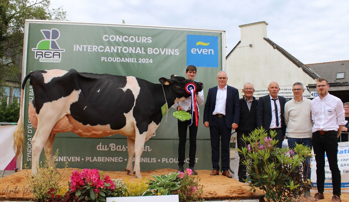20181.hr - Illustration Saluden Perth remporte le concours