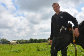 Julien Hindré et une vache