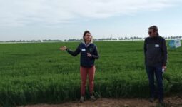 Lors d'une rencontre autour du lin