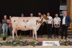 Des éleveurs autour de la Grande championne Pie Rouge Olympe P au salon agricole de Loudéac 2024