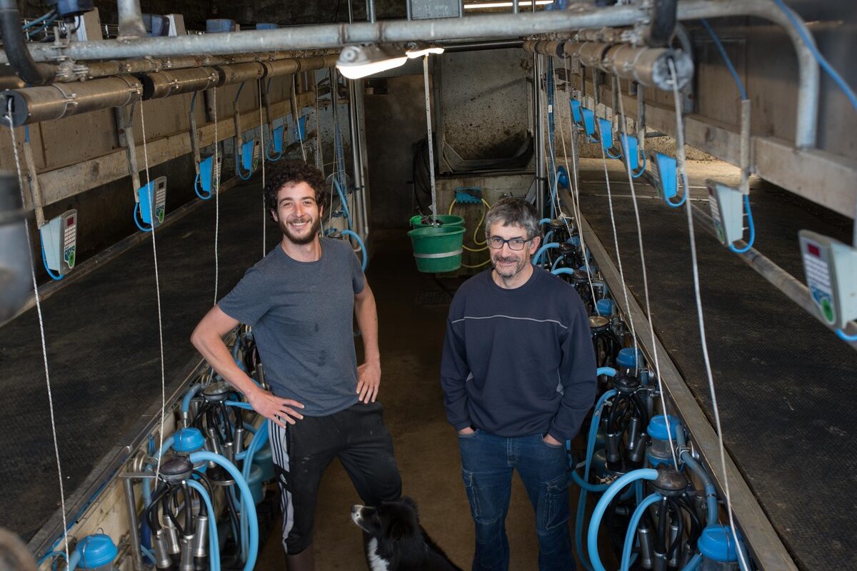 Les éleveurs laitiers Paul et Patrice Hamoniaux dans leur salle de traite.  - Illustration Transhumer entre deux sites pour pâturer plus