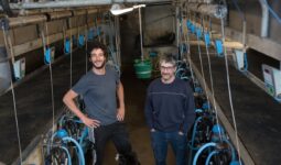 Les éleveurs laitiers Paul et Patrice Hamoniaux dans leur salle de traite.