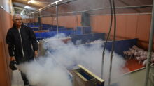 Fumigation dans une salle de post sevrage pour détecter les problèmes de circuit d’air  de ventilation.