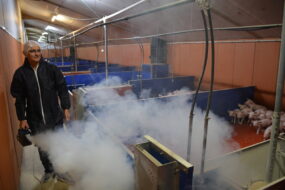 Fumigation dans une salle de post sevrage pour détecter les problèmes de circuit d’air  de ventilation.