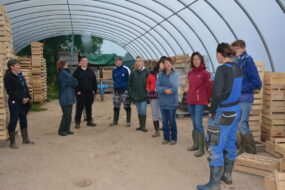 groupe de demandeurs d'emploi dans une serre