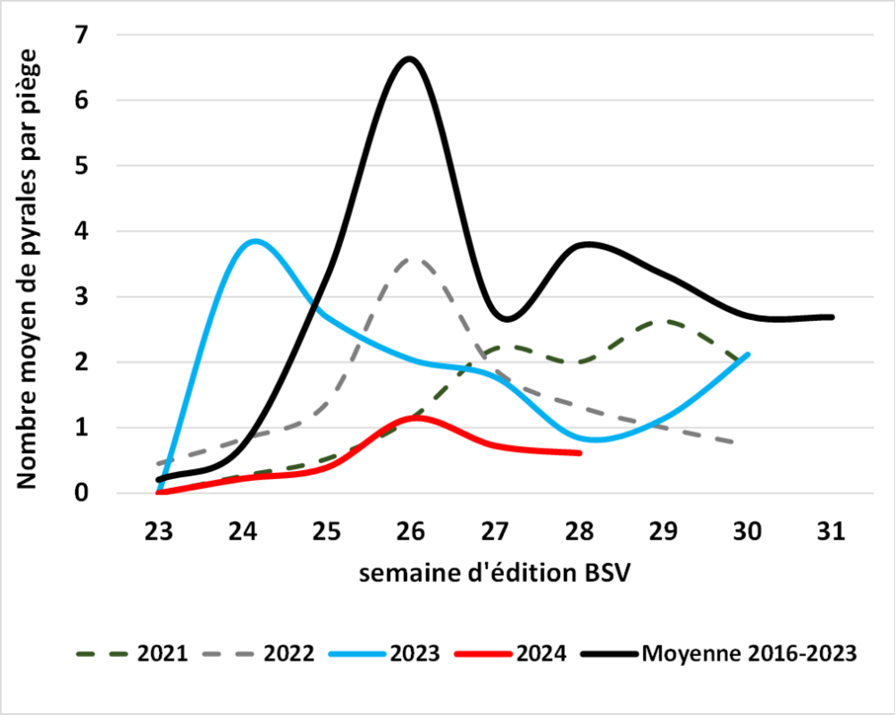 graphique sur l'évolution du nombre moyen de pyrales par piège selon l’année