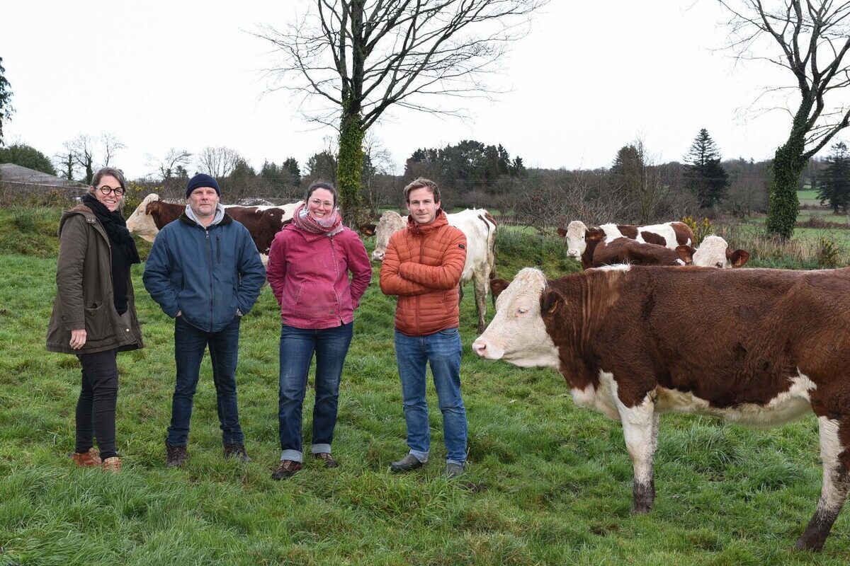 Quatre personnes dans un champ avec des vaches MOntbéliardes. - Illustration Histoire d&rsquo;une installation express 