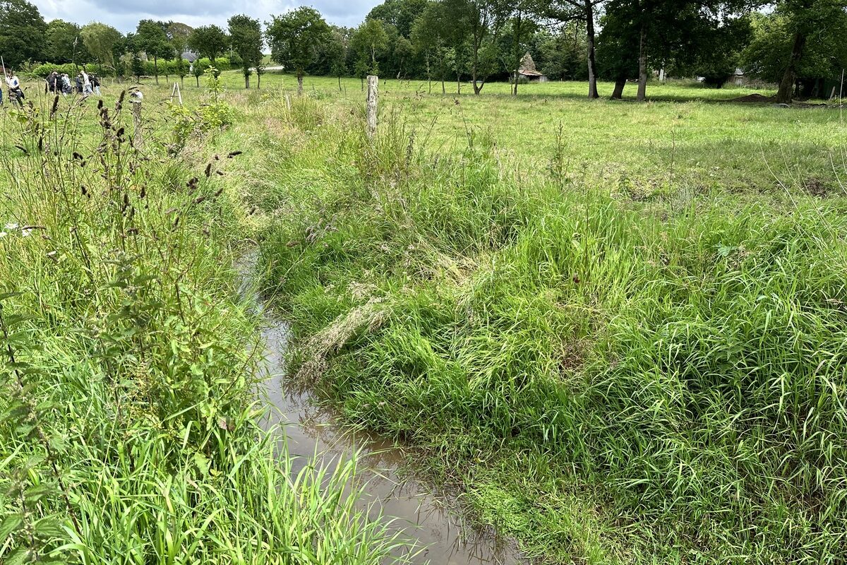 Cours d'eau dans une prairie - Illustration De la droite à la méandre