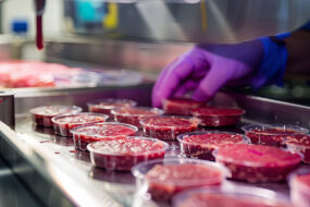 atelier de production de viande cellulaire