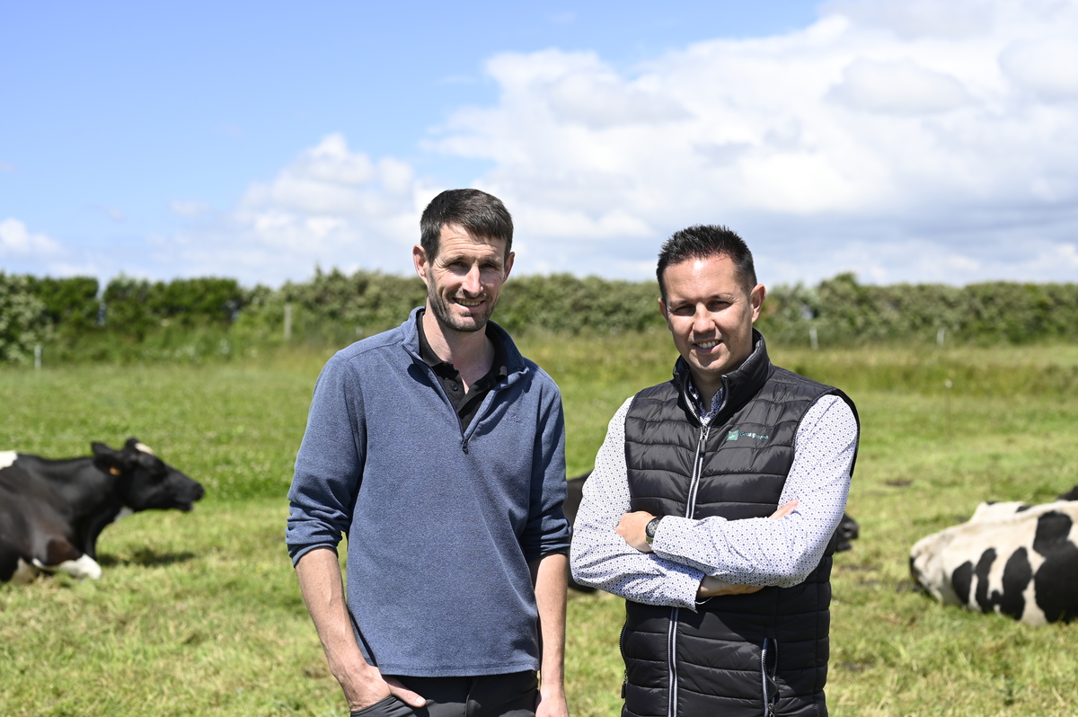 2 personnes dans une prairie avec des vaches - Illustration Groupama accompagne ses sociétaires jusqu&rsquo;au bout du monde