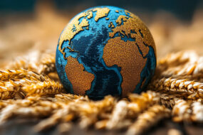 Carte mondiale sur un globe posée sur des épis de blés.