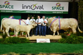 Les Champions Charolais avec leurs éleveurs sur le podium au Space