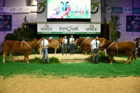 Les 4 Champions limousins au concours du Space