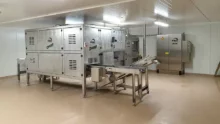 Machine permettant l’ovosexage installée dans un couvoir.