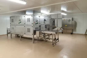 Machine permettant l’ovosexage installée dans un couvoir.