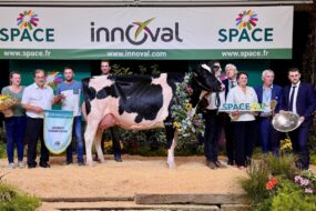 Des éleveurs et des responsables sur le podium du Space 2024 autour de la vache qui a remporté le concours de a raceHolstein