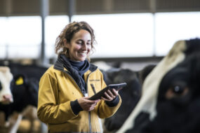 portrait d'une femme à côté de vaches laitières