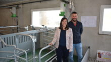 Servane et Steven Le Hir dans la maternité porcine bien-être
