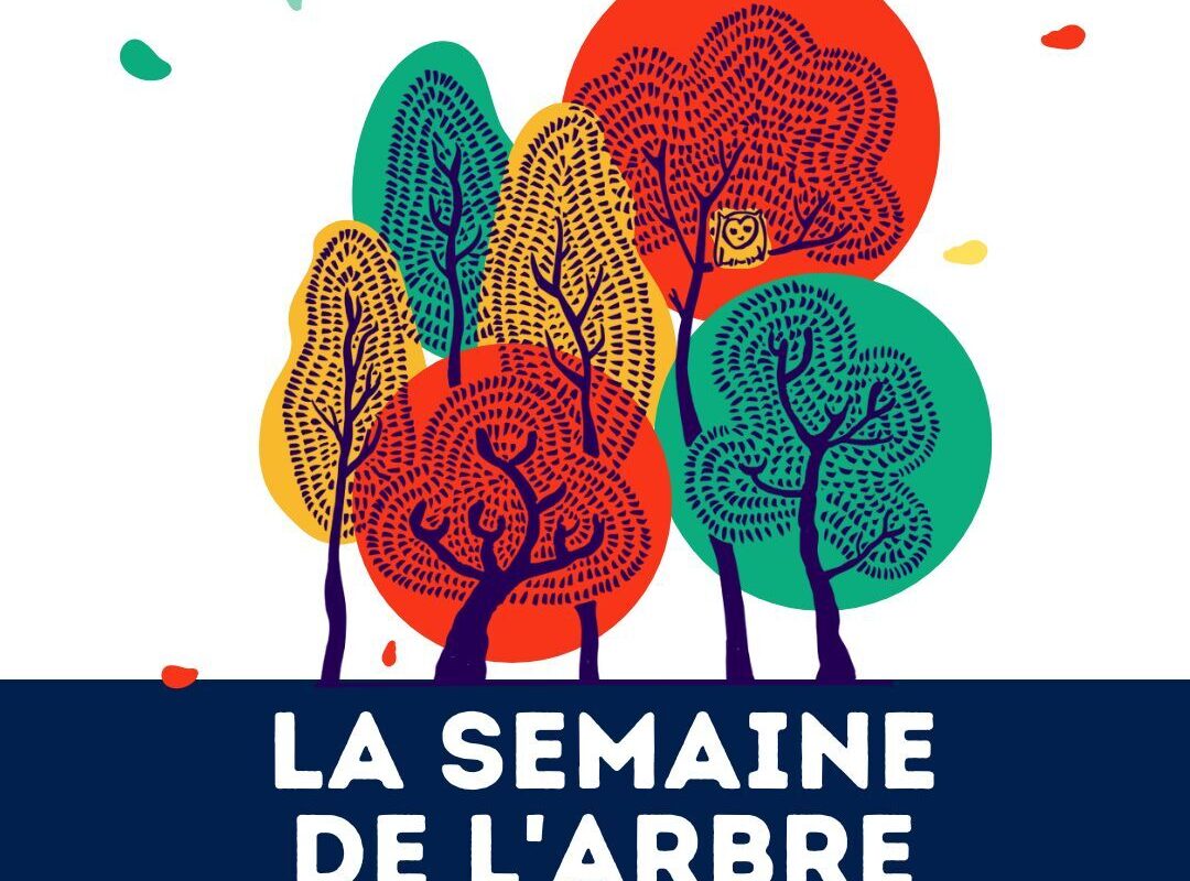 Affiche de la semaine de l'arbre 2024 - Illustration Semaine de l&rsquo;Arbre à Rennes : du 23 novembre au 1er décembre