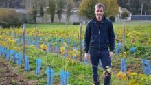 Aurélien Berthou,dans un champ de vigne