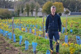 Aurélien Berthou,dans un champ de vigne